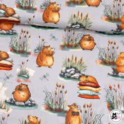 Kapibary szare tło wz1803