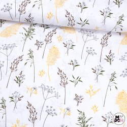 Trawy łąkowe białe tło wz2488