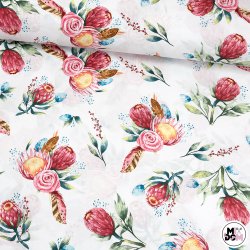 Opuncja bordowa białe tło...