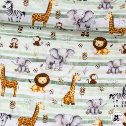 Animals żyrafa lew zebra...