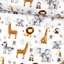 Animals żyrafa lew zebra...