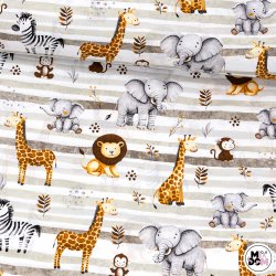 Animals żyrafa lew zebra...