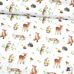 Leśni przyjaciele liski...