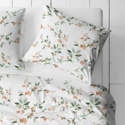 Powój herbaciany szer 220cm...