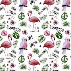 Flamingi i papugi białe tło...